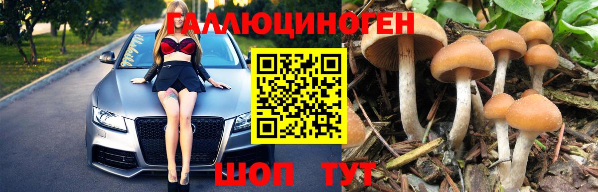 Галлюциногенные грибы ЛСД  Галлюциногенные грибы Psilocybine cubensis  Вход с VPN  Чернушка 