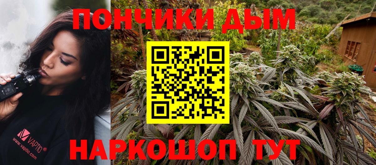 Каннабис индика  Бошки Шишки сатива  Марихуана SATIVA & INDICA  Канабис планчик  Вход с VPN  Чернушка 